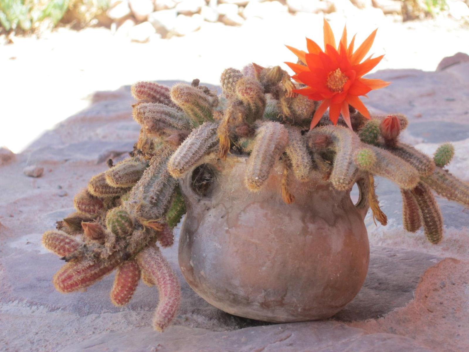 La Calabaza Cabana Tilcara Exterior foto