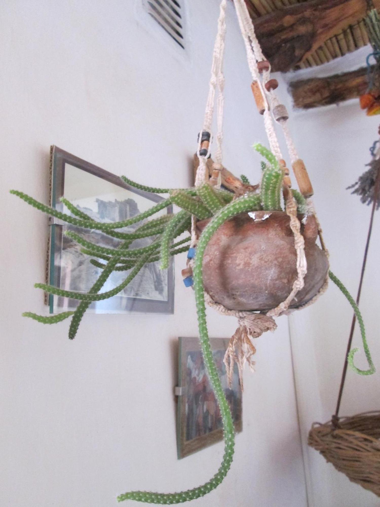 La Calabaza Cabana Tilcara Zimmer foto